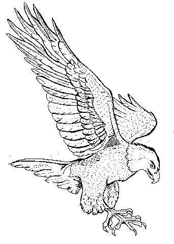 coleagle