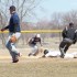 baseballweb