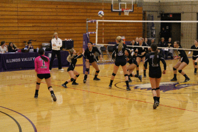 Volleyball enters regional play
