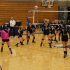 IVCC’s Taylor Gunia sets the ball as her teammates scramble into position in the sophomore night game on Oct. 22 vs. Black
Hawk. The Lady Eagles went on to win the game.
