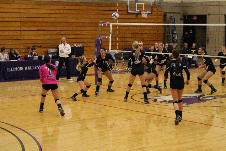 IVCC’s Taylor Gunia sets the ball as her teammates scramble into position in the sophomore night game on Oct. 22 vs. Black
Hawk. The Lady Eagles went on to win the game.
