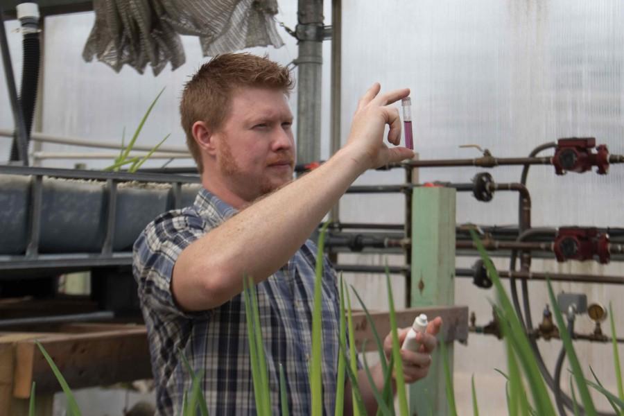 Professor Jared Olesen examines a test tube full of water testing for pH, ammonia,and nitrates used in the IVCC greenhouse aquaponics system. The system uses mineral substitutes to grow plants without soil.