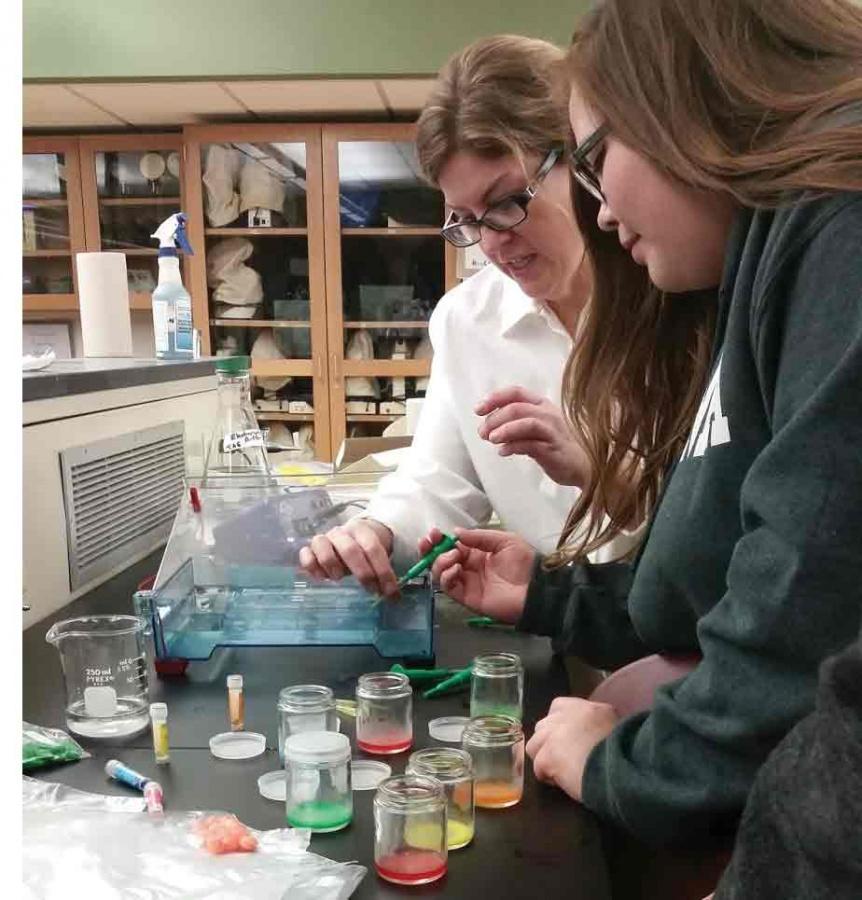 Instructor Lauri Carey works with students to separate different colored dyes from  candies and other foods
to learn the process on how to separate molecules.
