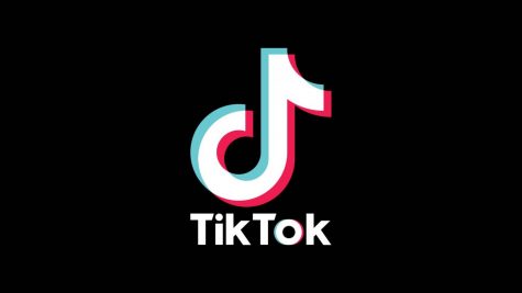 TikTok creates a platform for aspiring artists