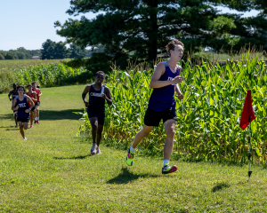 cross country runner photo