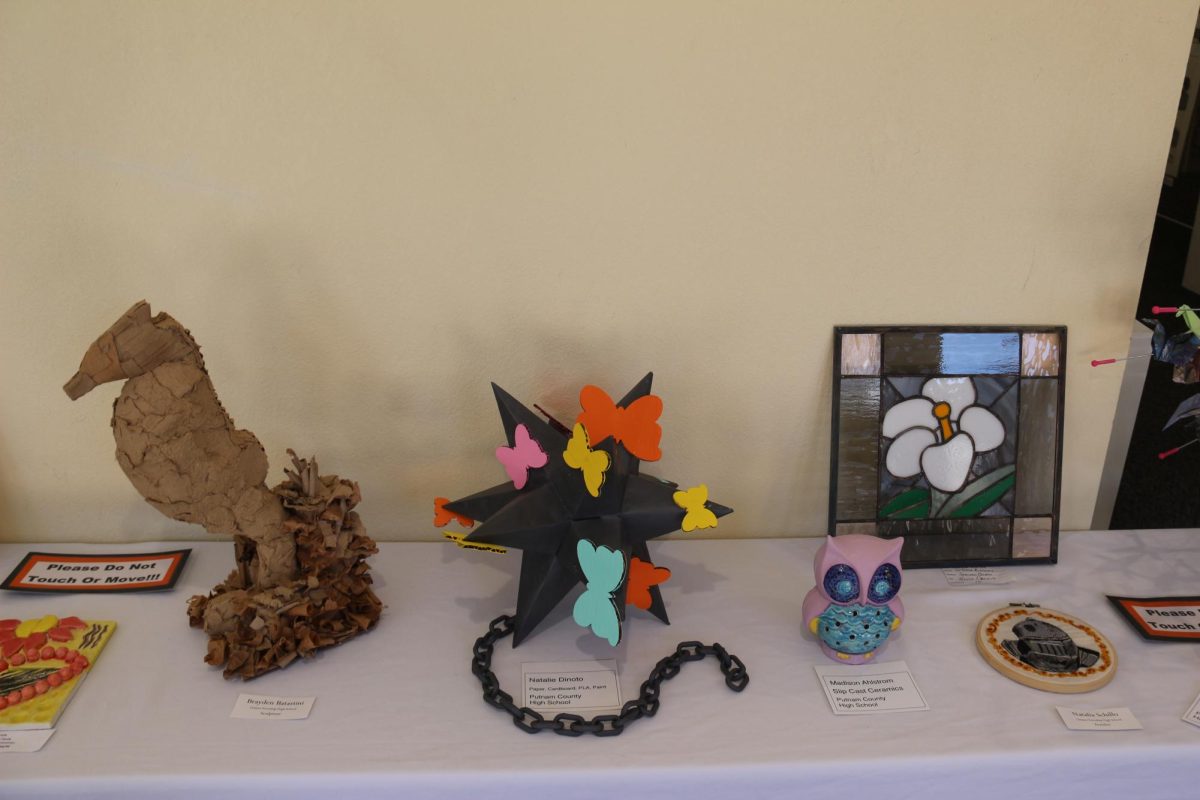Student work recognized at show